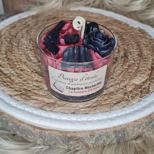 Bougie gourmande chapitre Nectarine parfum pêche