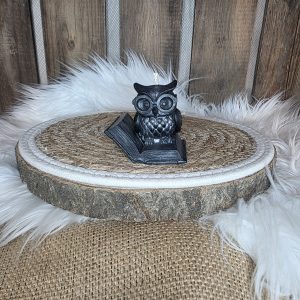 Bougie moulée grimoire du hibou