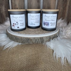 Bougie Douceur d’hiver
